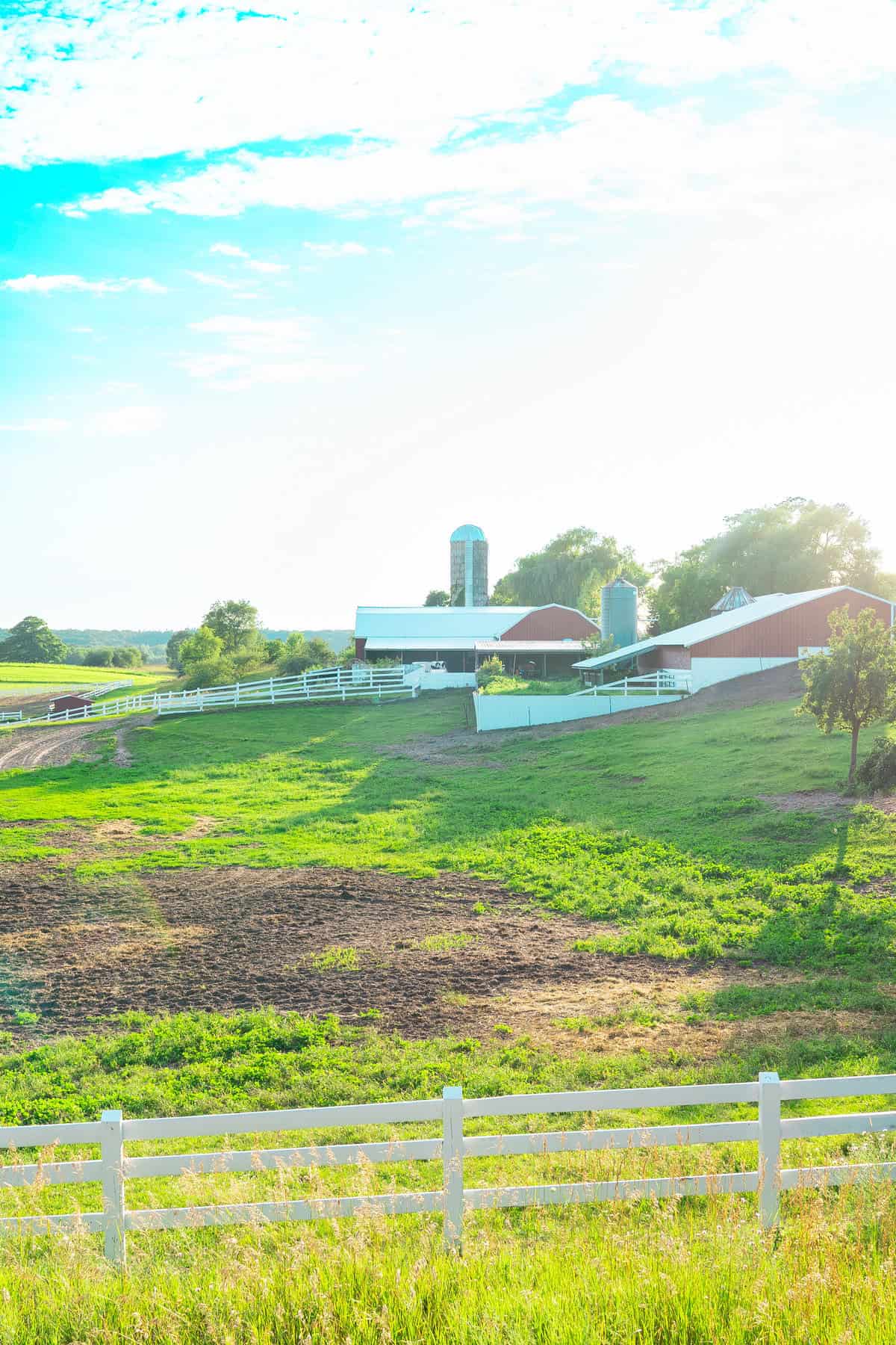 Rural farm landscape with barns, silo, and white fence under a bright sky.