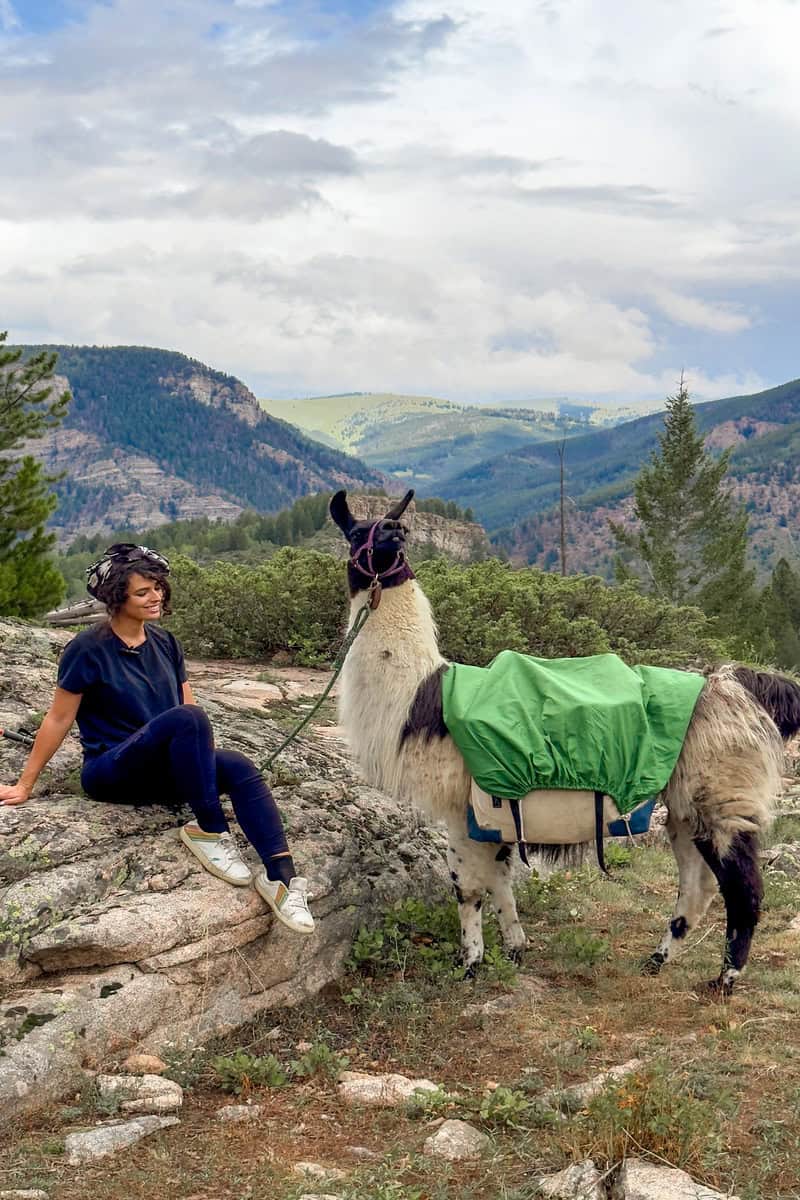 Person sitting next to a llama