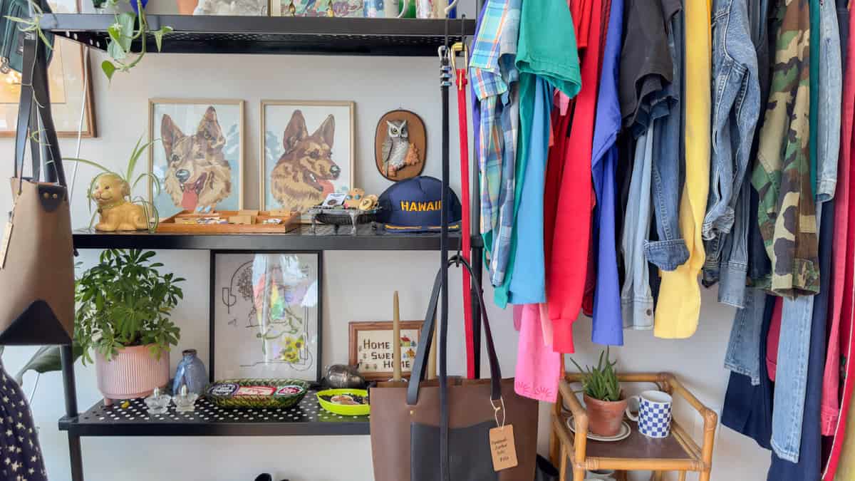 Interior of a boutique with clothes on racks, plants, and framed dog portraits on a shelf.