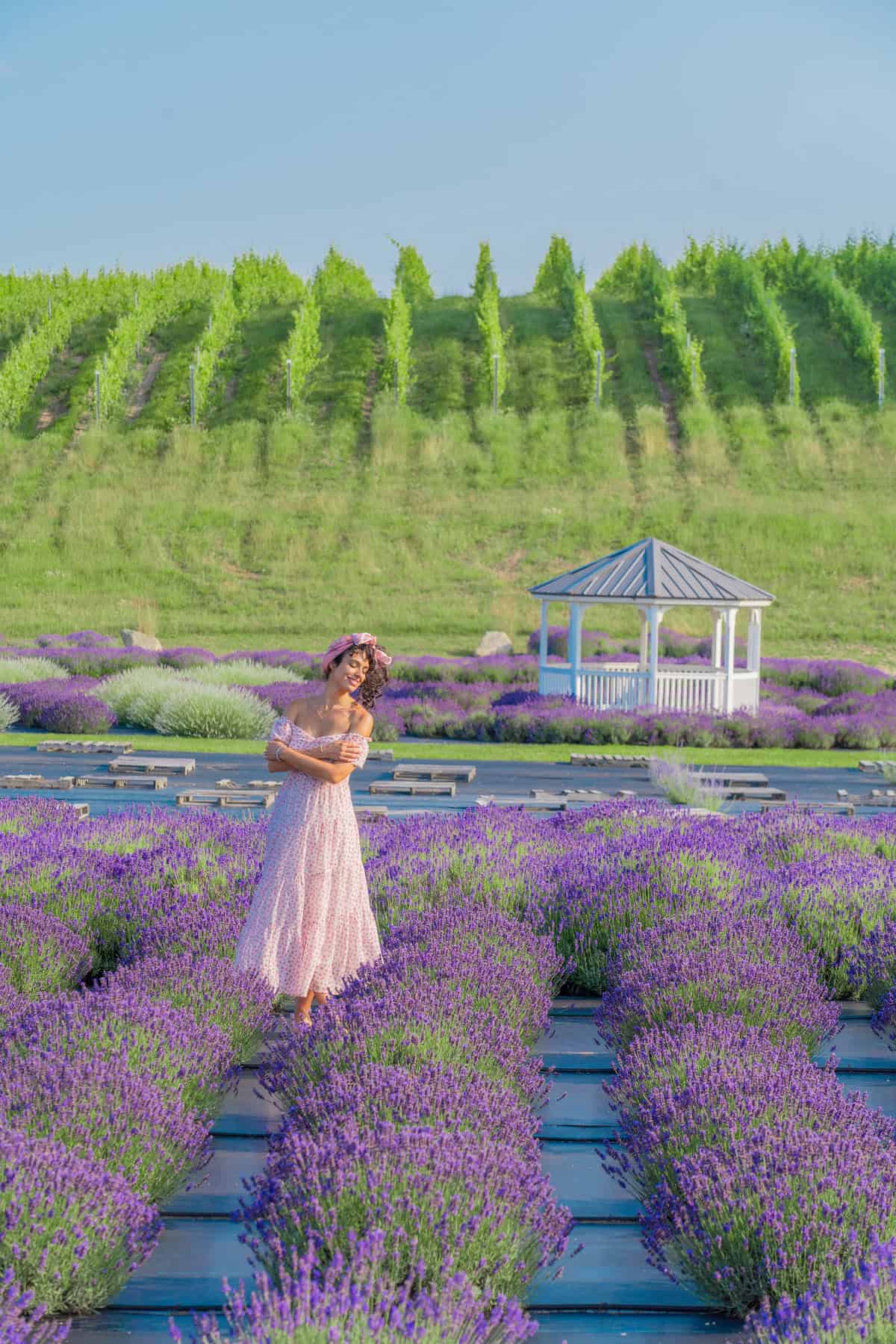 Person in a pink dress standing in a lavender field 