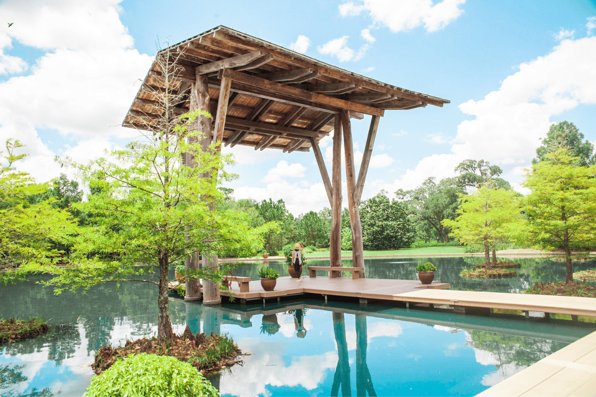 Wooden pavilion by a reflective pool