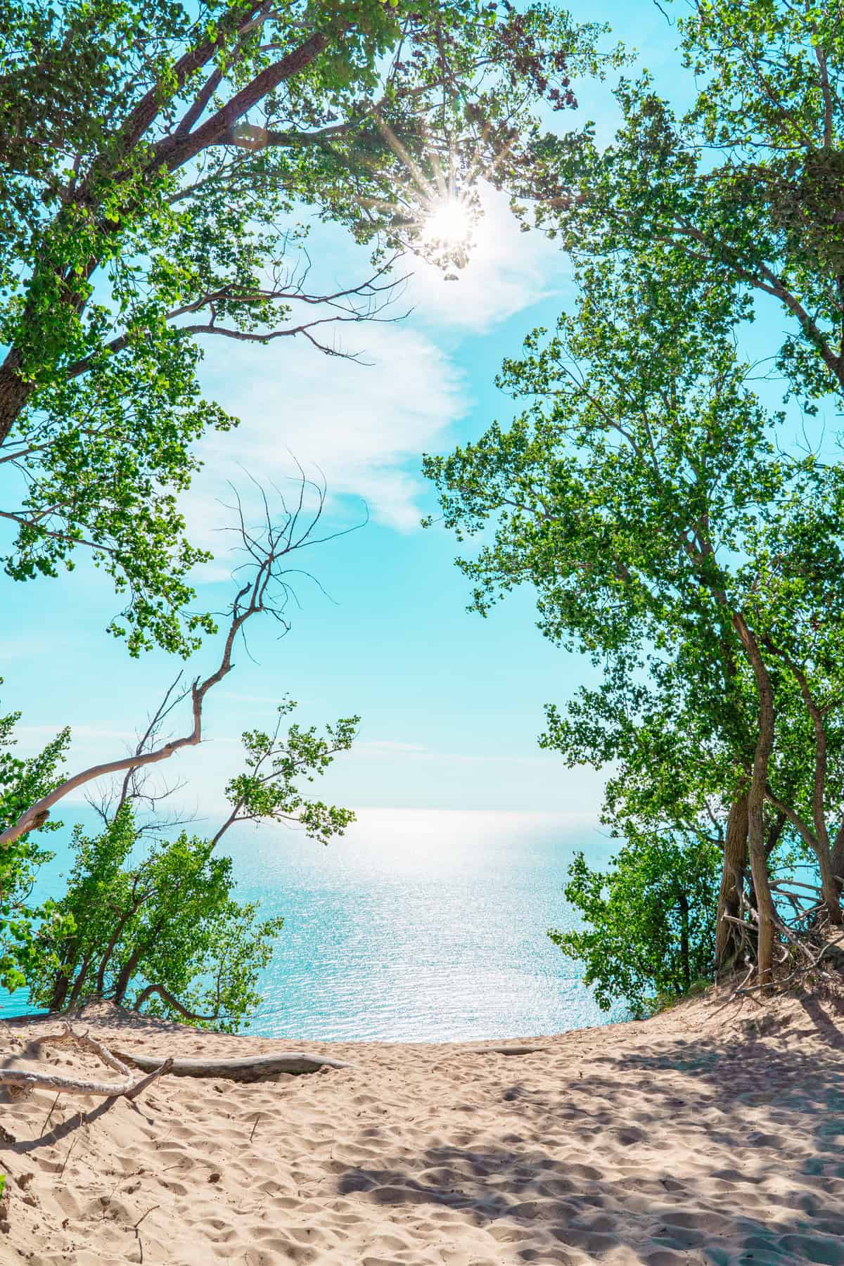 Sandy beach pathway leading through green trees to a sparkling blue sea under a sunny sky.