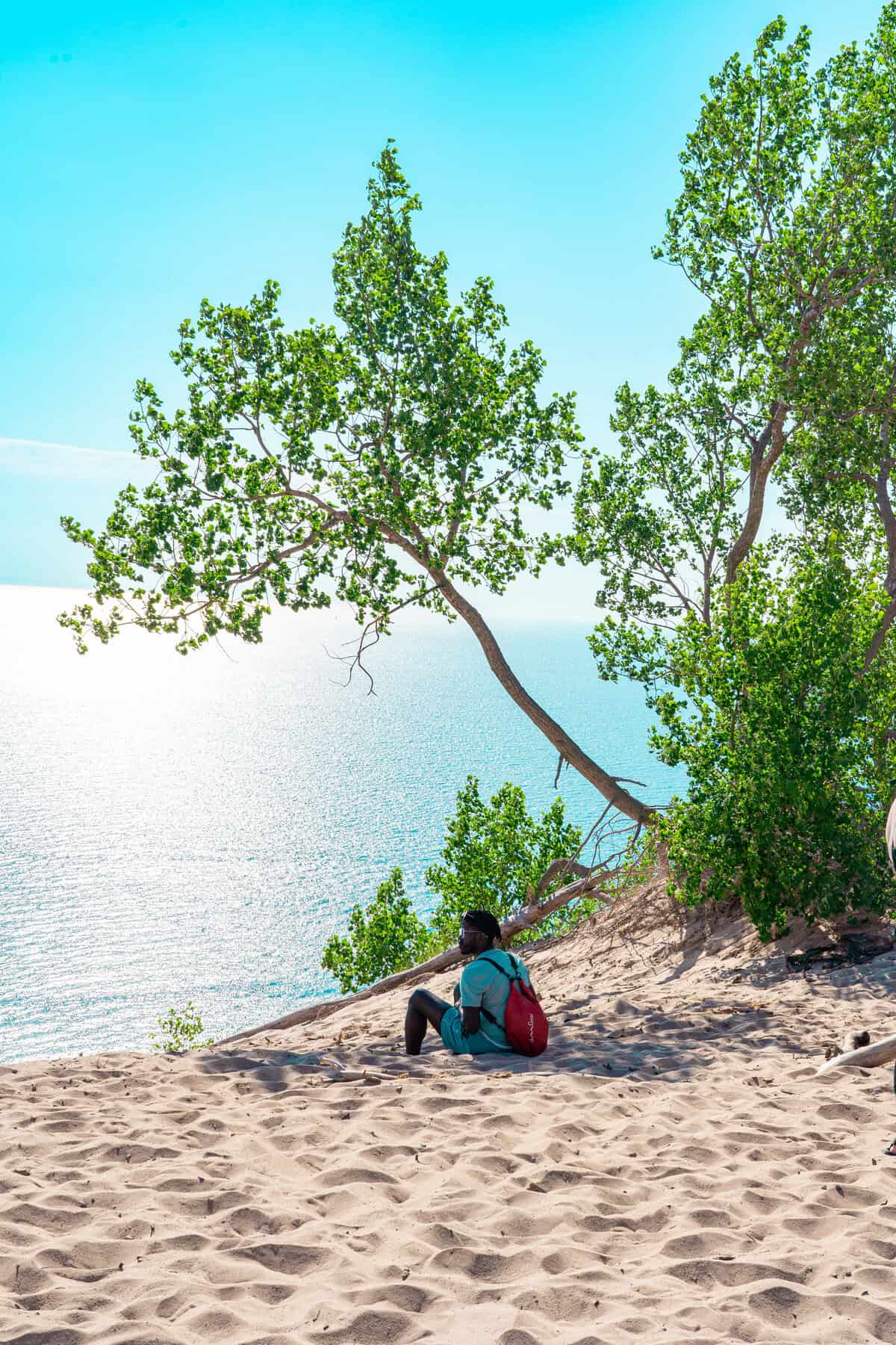 Person sitting on a sandy slope under trees, overlooking a tranquil sea.