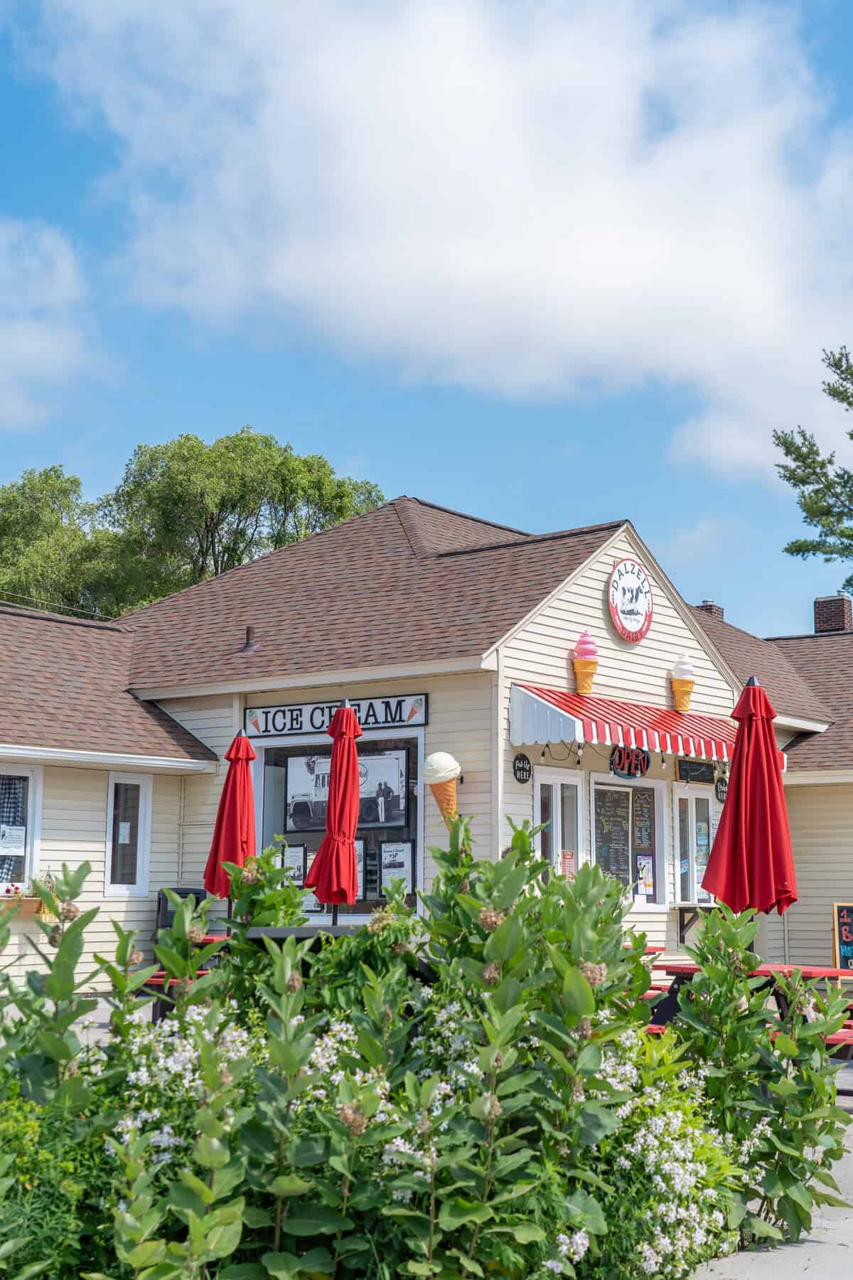 Charming ice cream shop with red umbrellas, white flowers in the foreground, under a blue sky.