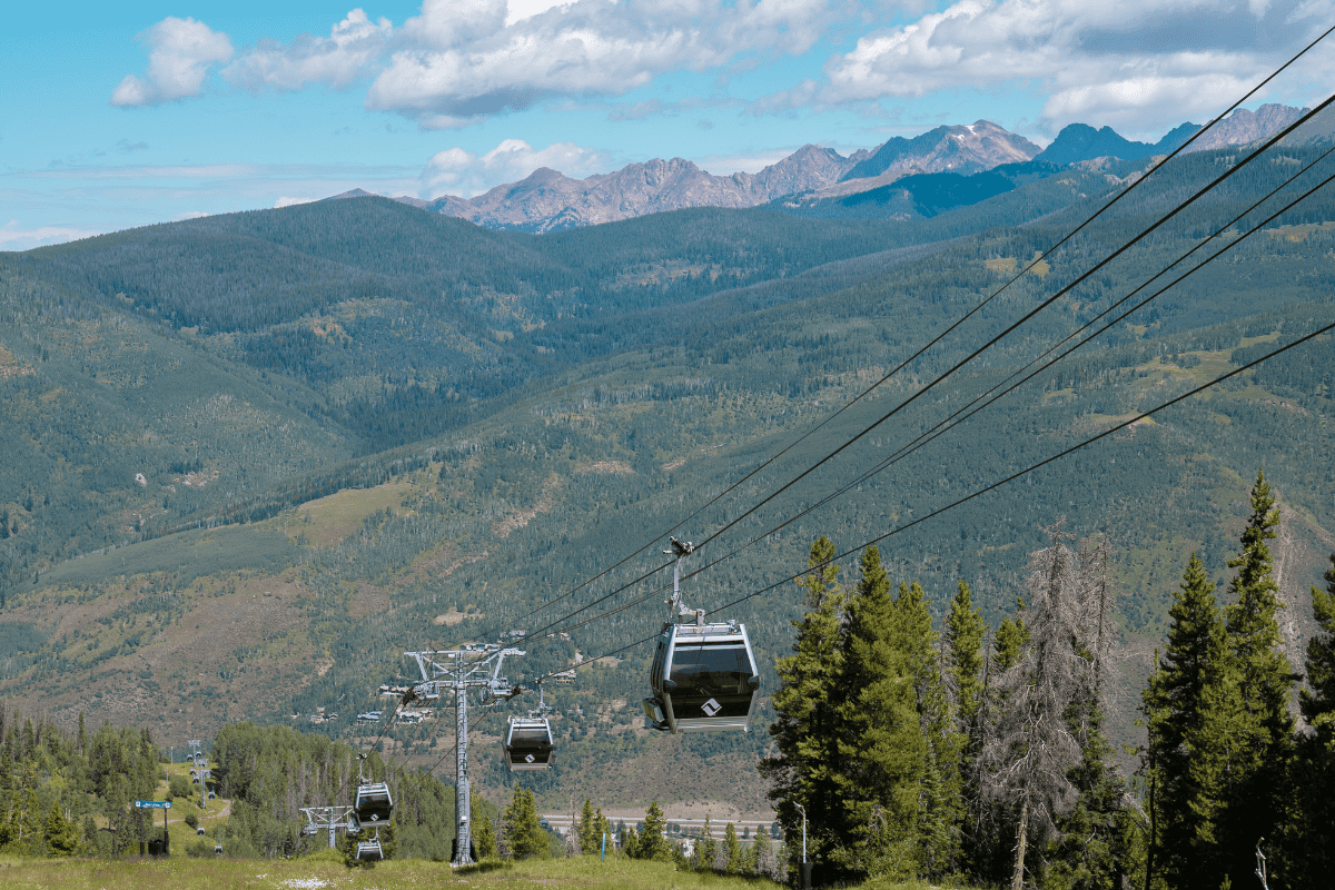 Gondola lifts over green forest