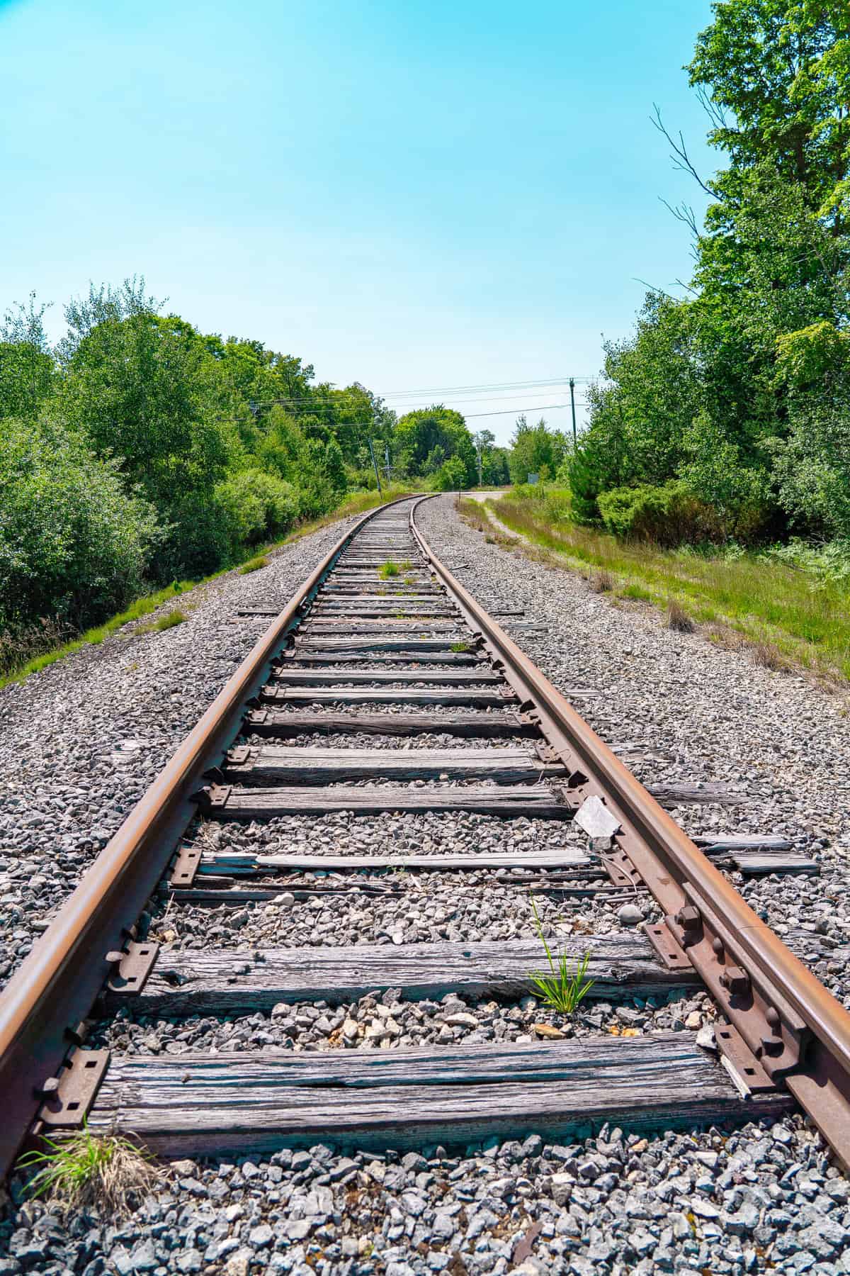 Railroad tracks extending into the distance with greenery on both sides under a clear sky.