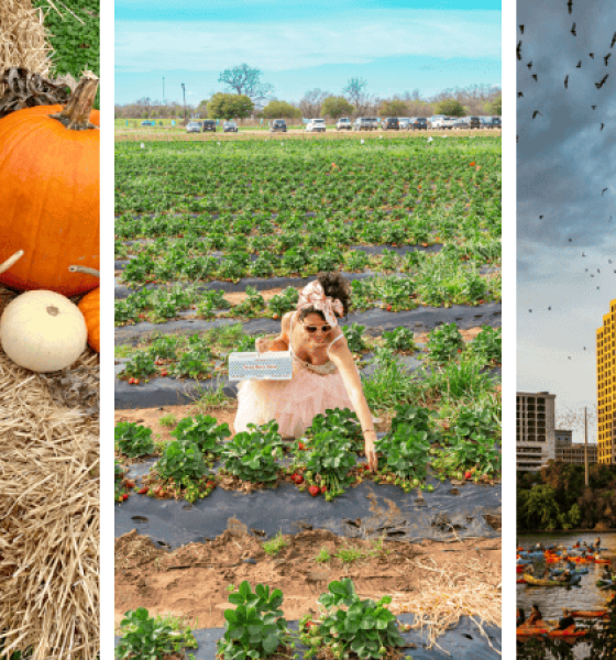 15+ Must-Experience Fall Things to Do in Austin