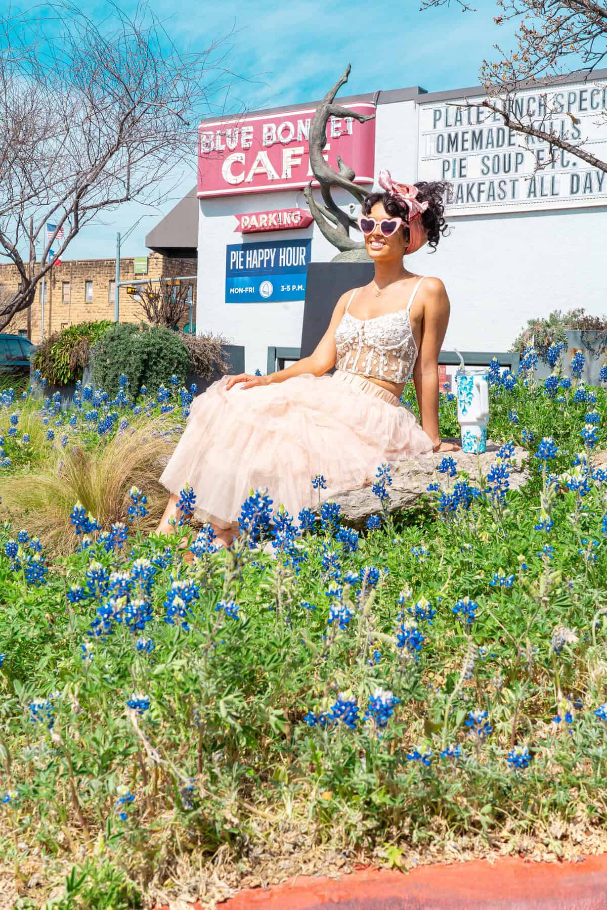 Person in a pink dress sitting by bluebonnets