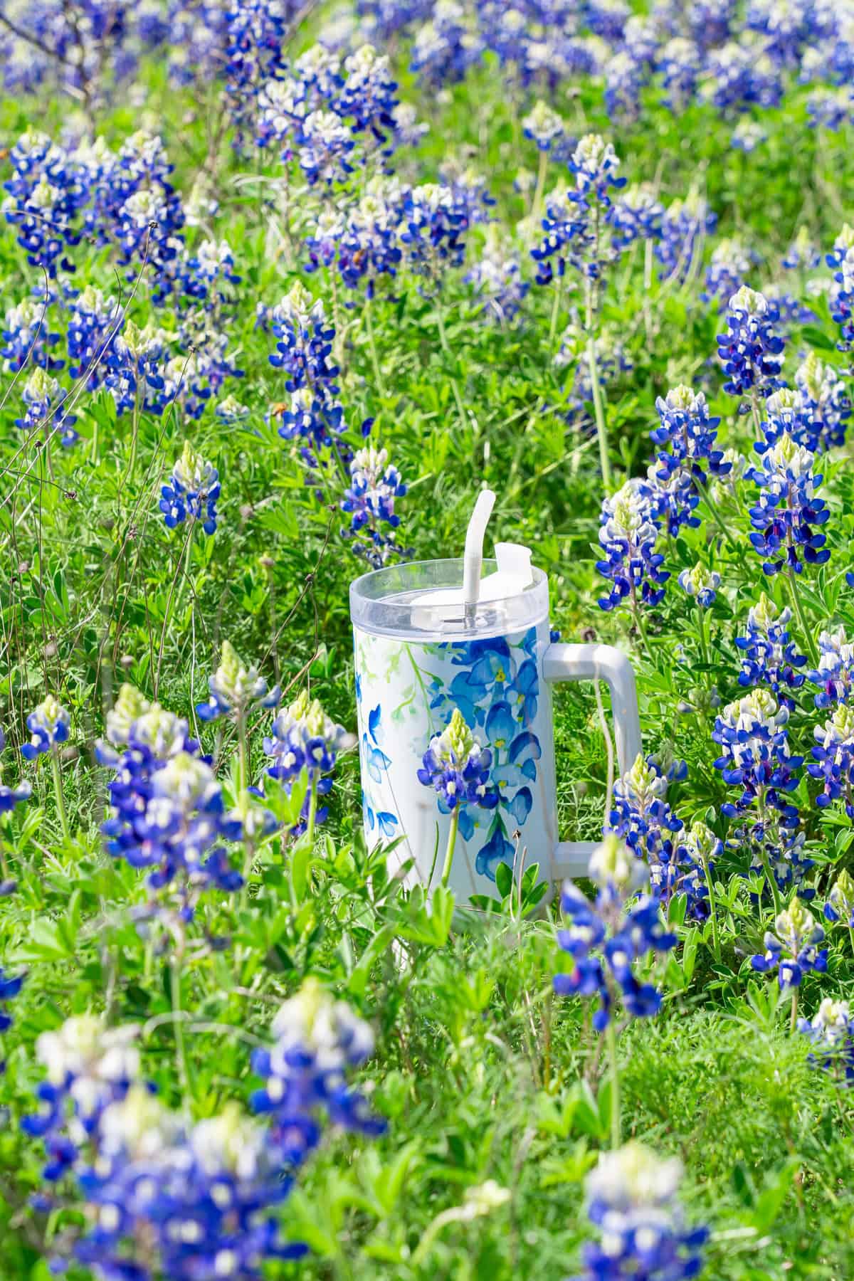 A patterned mug amidst vibrant bluebonnet flowers