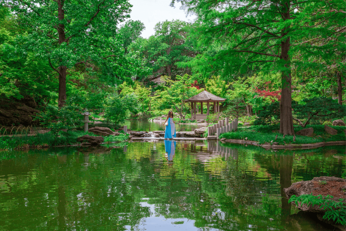 Person in blue on a stepping stone path across a serene pond