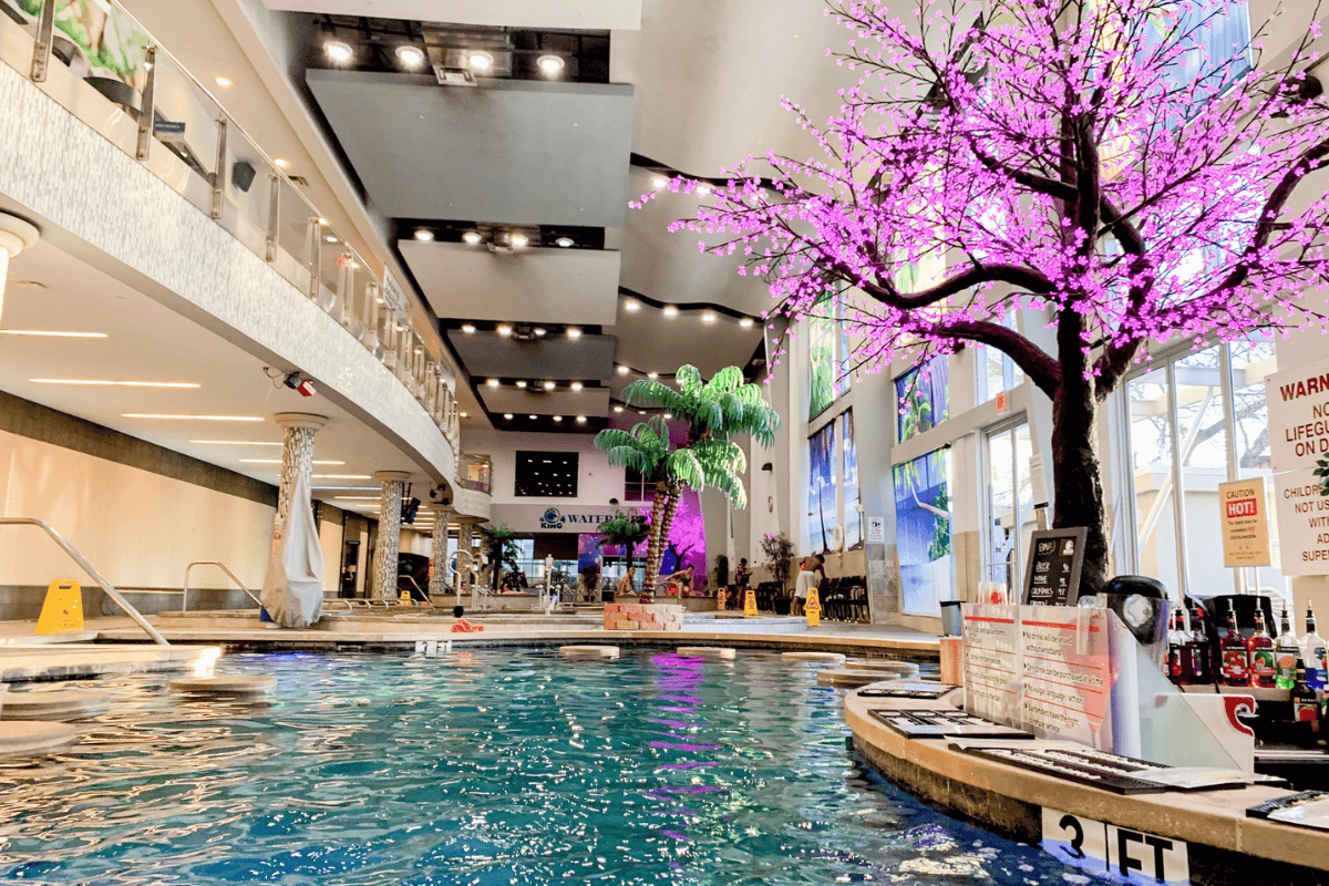 Indoor pool with artificial pink-lit tree, poolside seating, and a balcony.