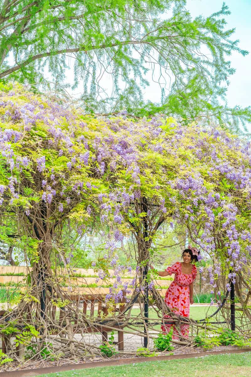 A woman in a red dress stands gracefully beneath a tree 