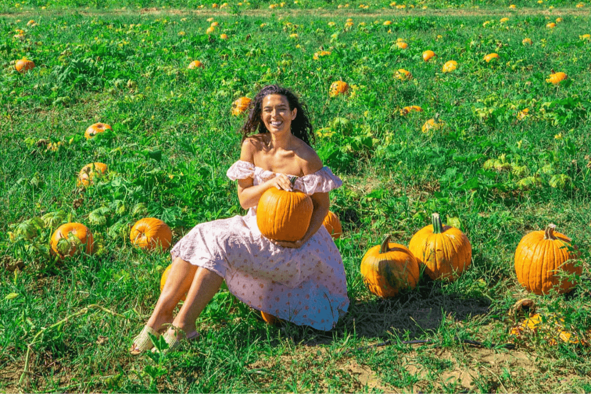 Person holding a pumpkin in a sunny pumpkin patch.