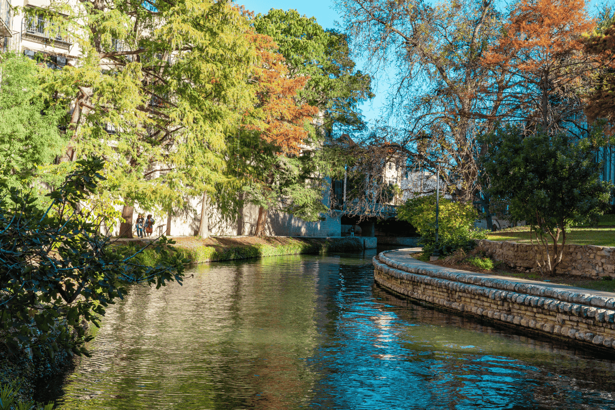 A serene river flows through a city park, surrounded by lush trees