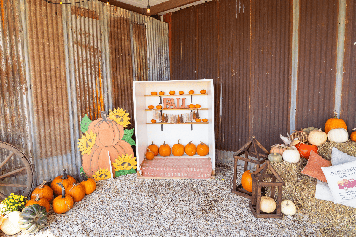 Rustic fall-themed display