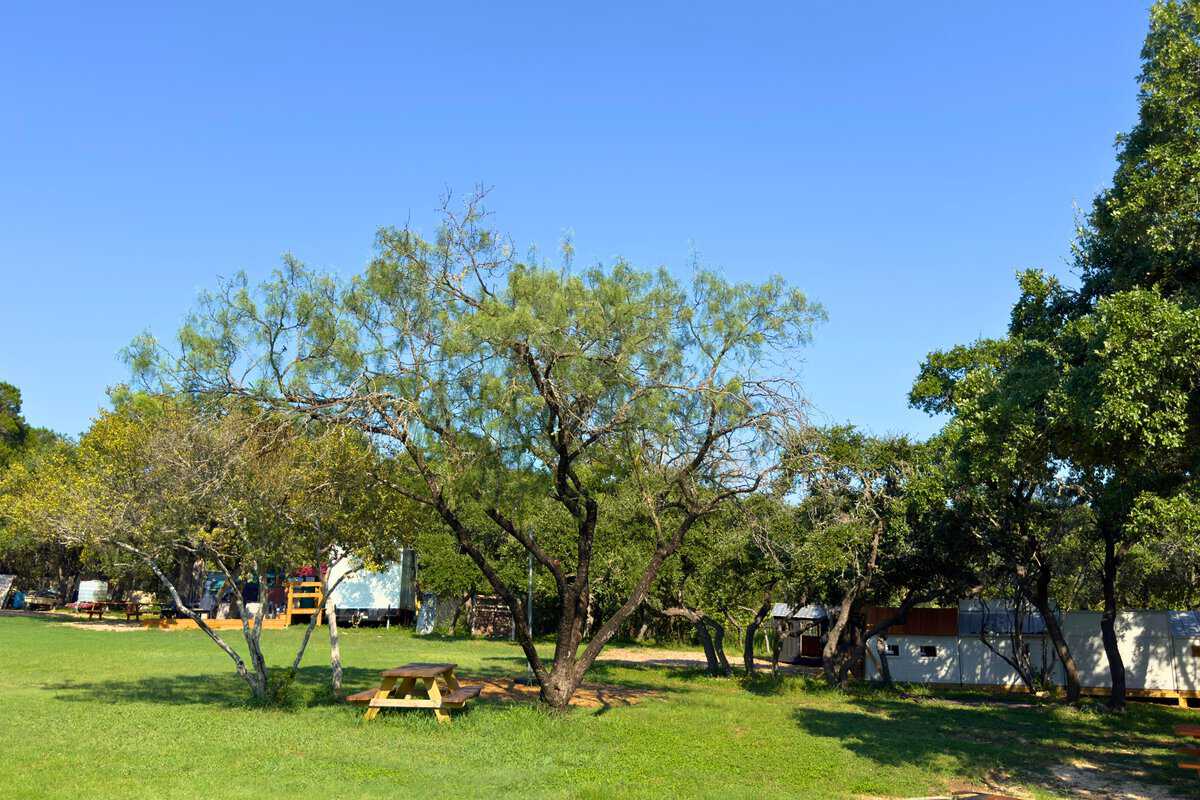 A sunny park with scattered trees and a wooden picnic bench.