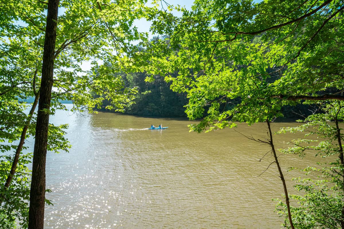 Two people kayaking on a serene river framed by lush green foliage.