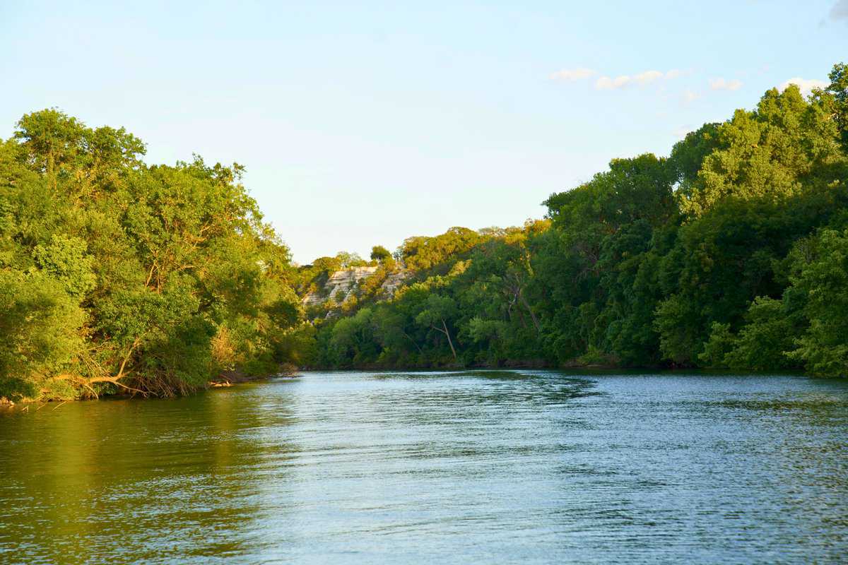 A serene river flanked by lush green trees under a clear blue sky.