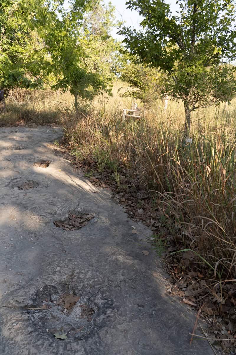 A dusty, winding path through overgrown grass and bushes