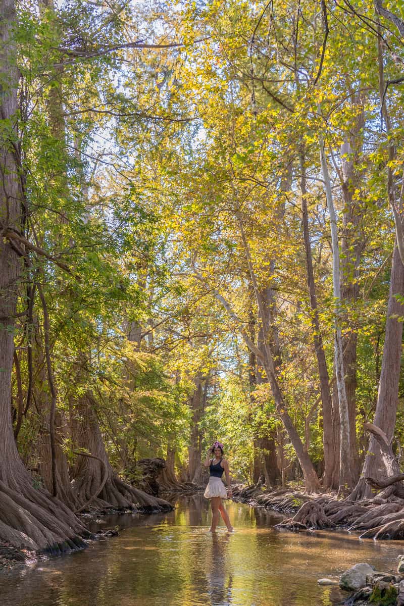 Person standing in a serene creek surrounded by golden autumn foliage 