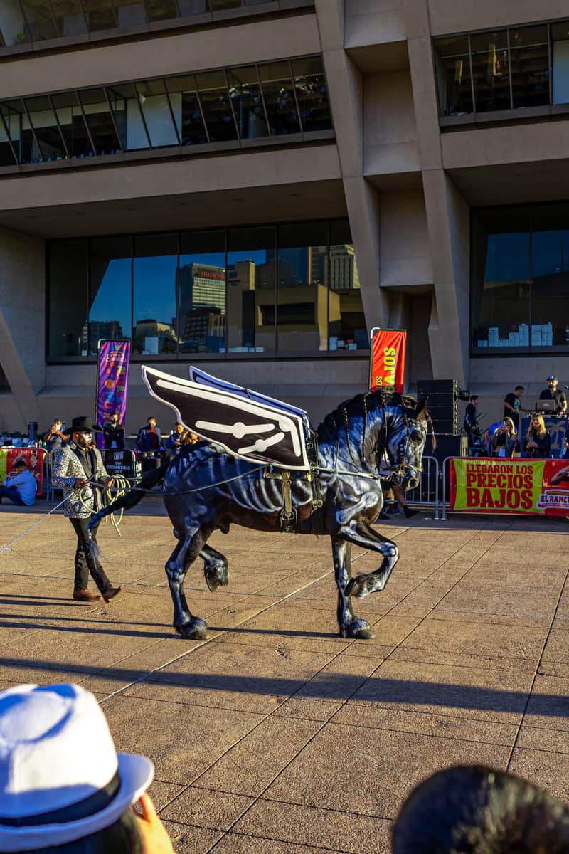 A black skeletal horse