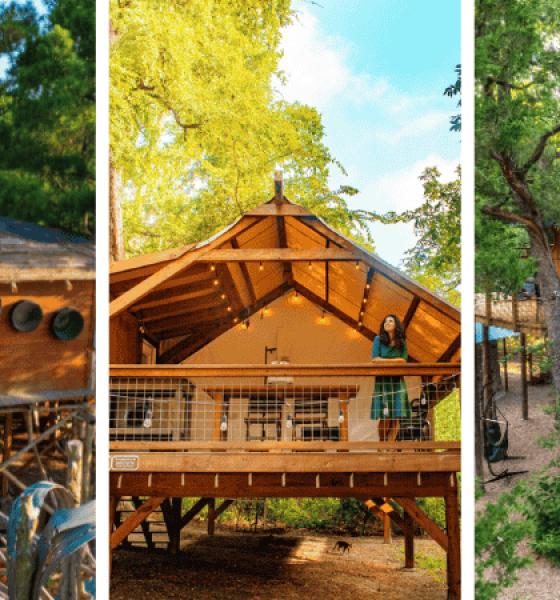 Family-Friendly Treehouse Rentals in Texas for Your Next Vacation