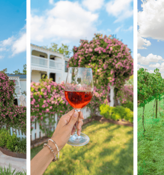 Raise Your Glass: Fun Ways to Enjoy Texas Wine Month