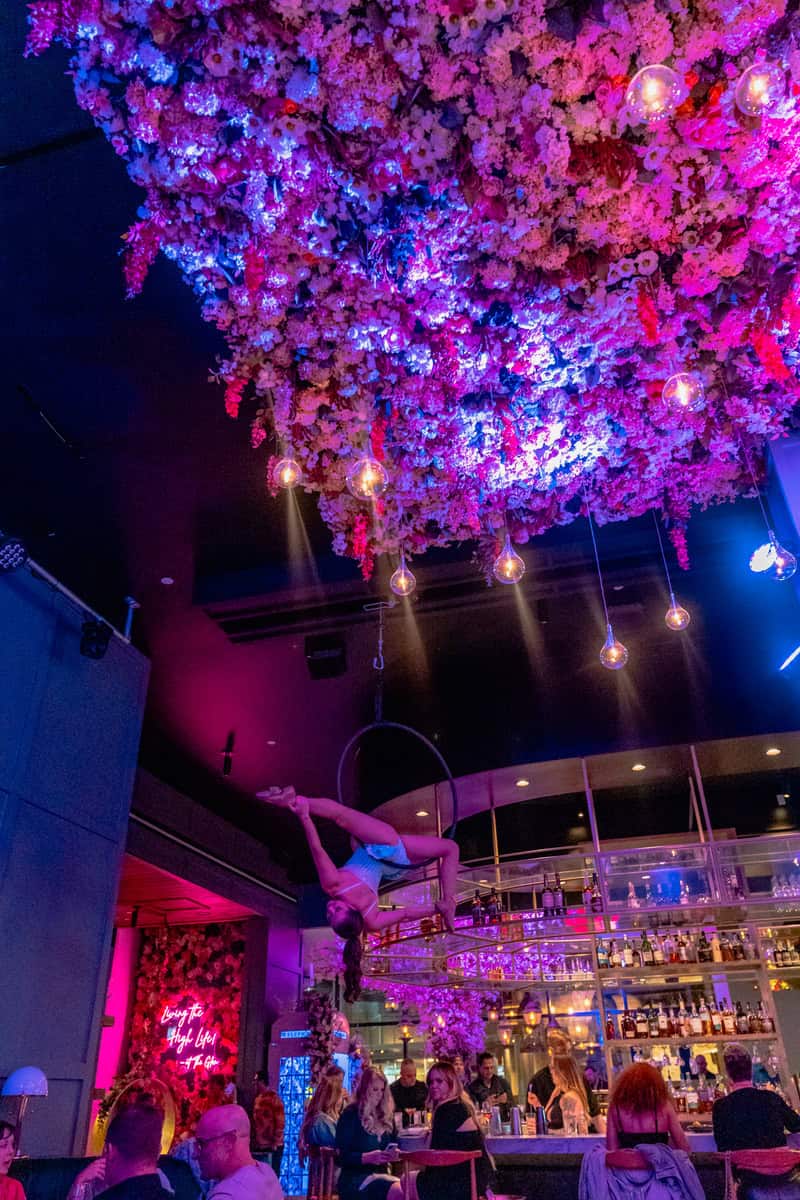 Aerial performer hanging from a hoop in a vibrant bar