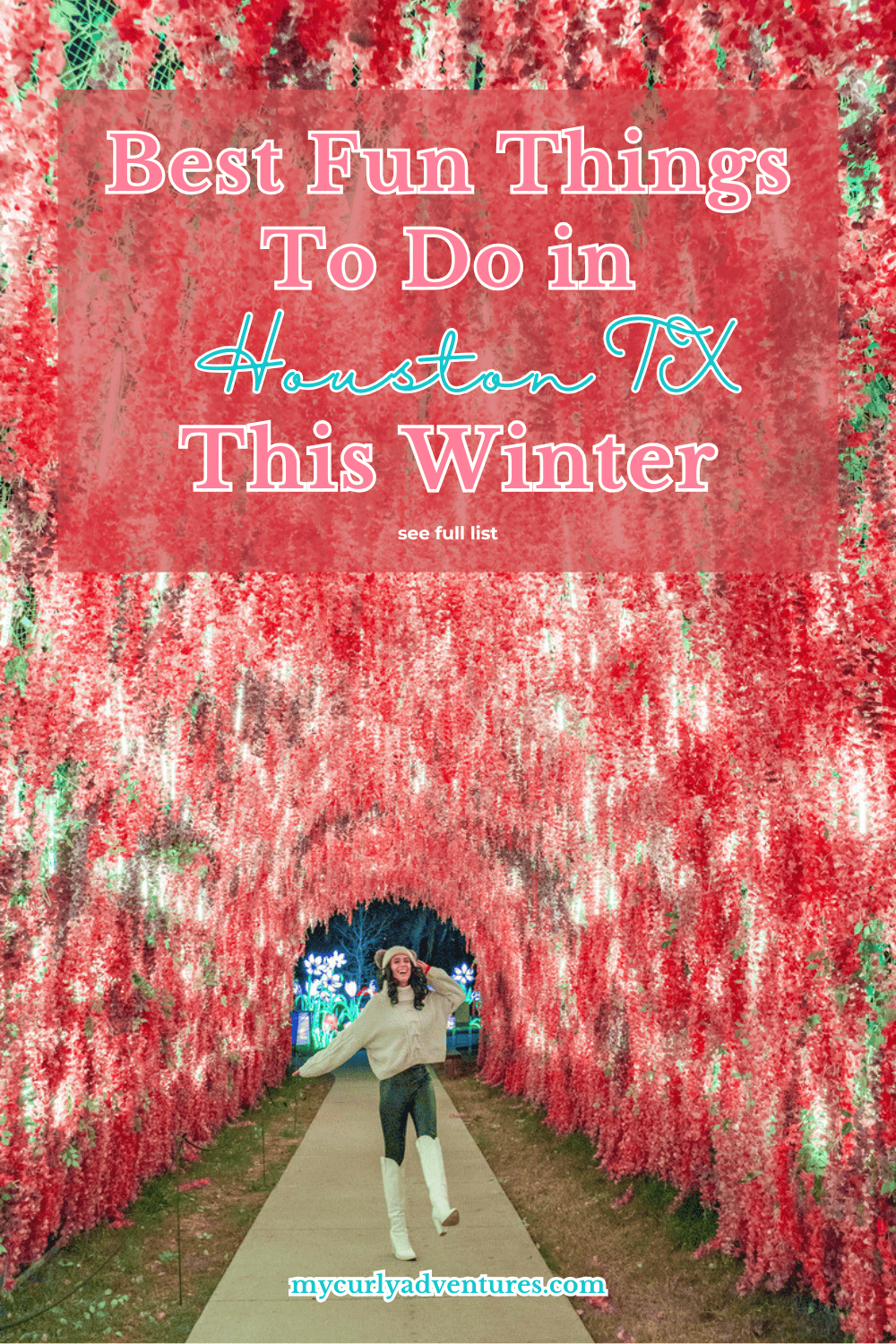 fun things to do in houston this winter