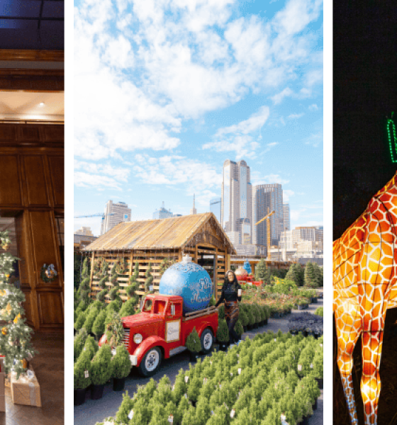 Best Things To Do in Dallas, Texas This Winter