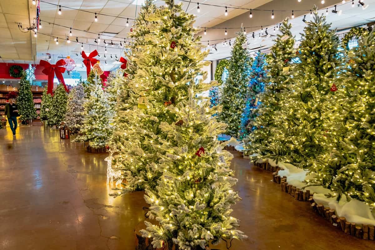 room filled with numerous decorated Christmas trees