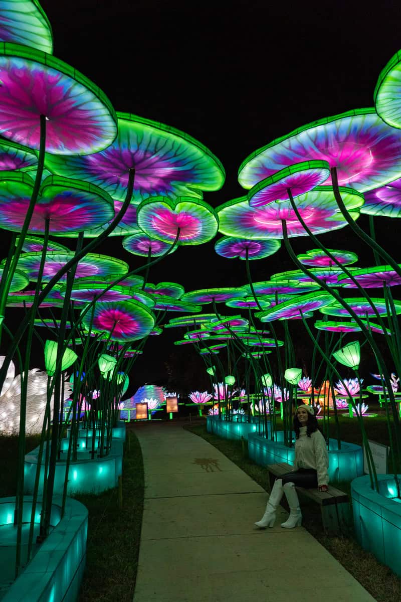 Illuminated, colorful, flower-shaped lights line a pathway at night.