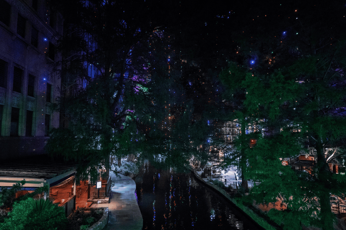 Night view of a tree-lined riverwalk with twinkling lights