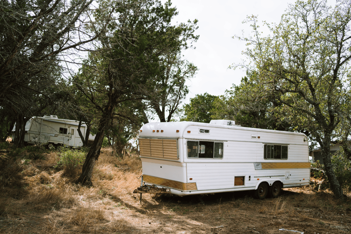 Two old RV trailers parked in a wooded area with dry grass.