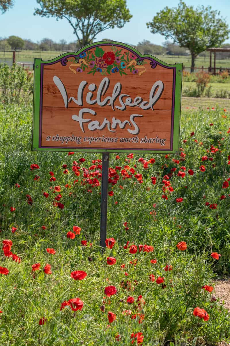 A rustic wooden sign for "Wildseed Farms"