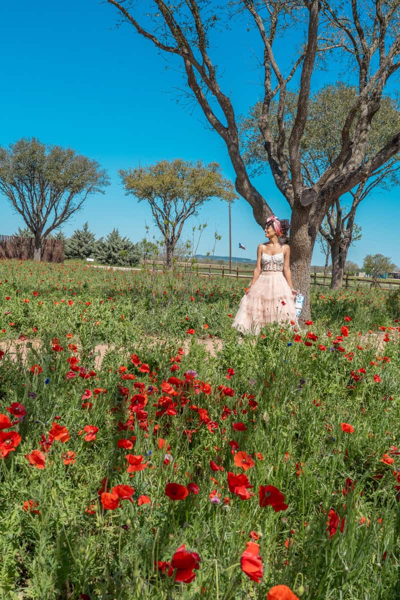 Person in a pink dress standing among red poppies