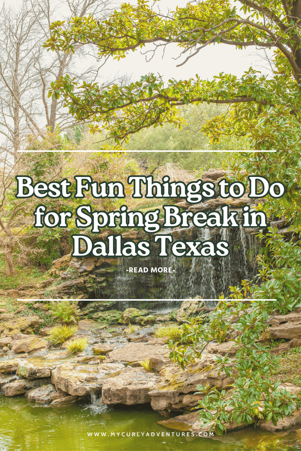 fun things to do in dallas for spring break