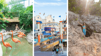 Texas Spring Holiday Family-Friendly Things to Do During Spring Break in Texas