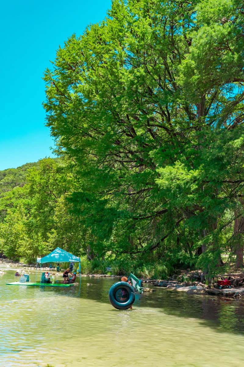 A sunny riverside scene with a large tree