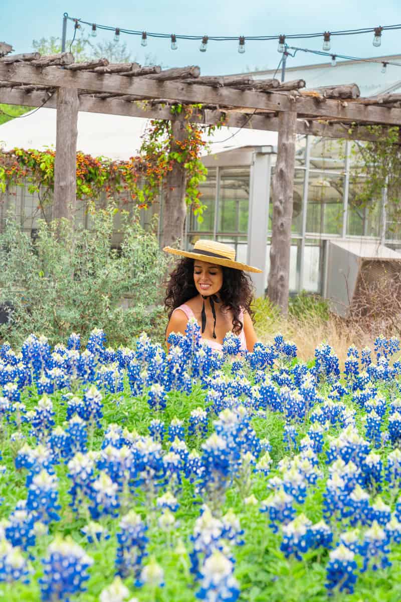 A person wearing a straw hat sits amidst a vibrant field of bluebonnet