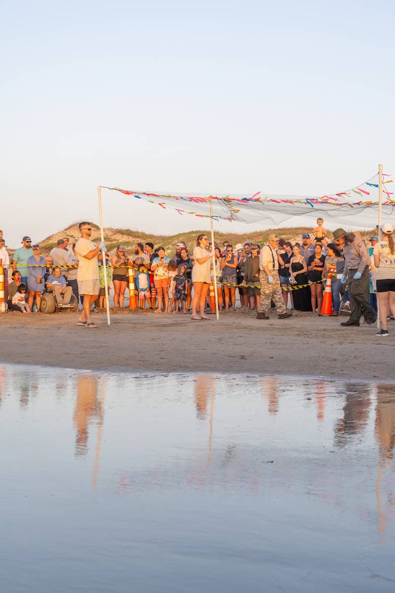 A crowd gathers at the beach, watching a presentation