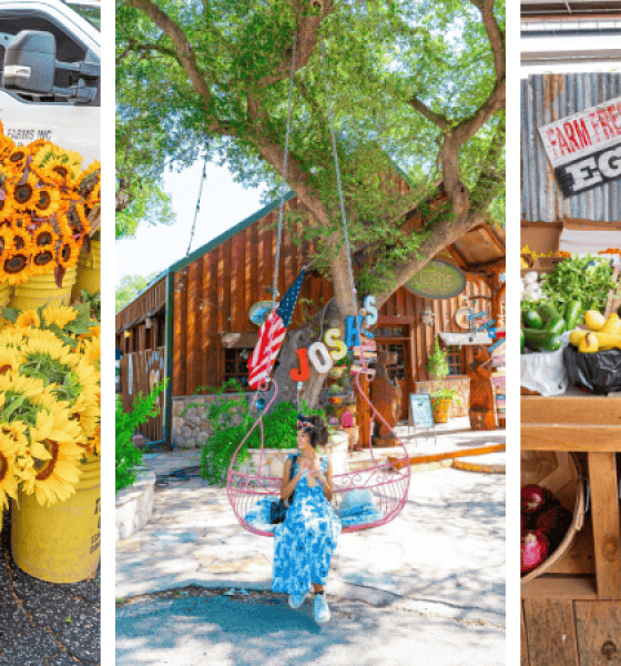 Top Spring Break Adventures in Texas You Can’t Miss