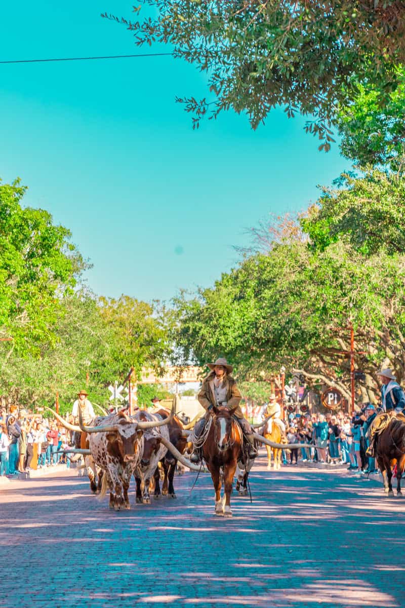 A lively street scene featuring cowboys on horseback leading longhorn cattle