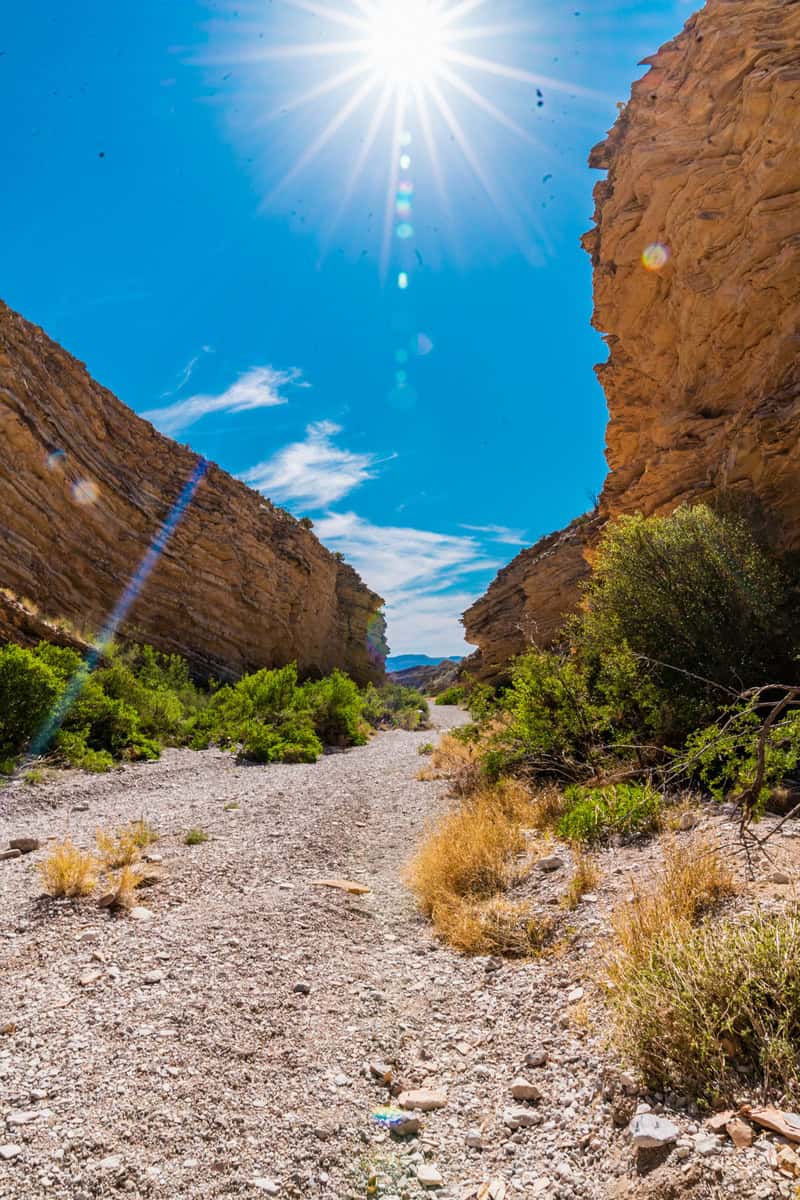 A sunlit canyon with steep rock walls and a dry, pebbled pathway