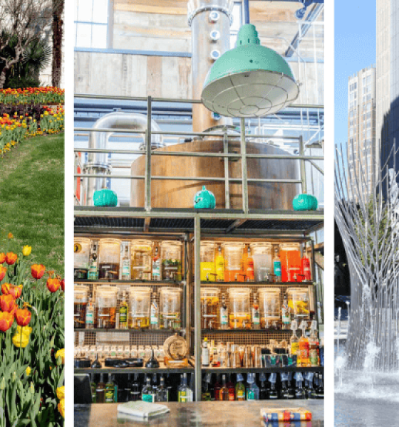 Fun Spring Break Destinations for Families in Dallas