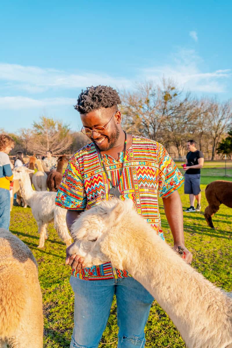 Ismail in a colorful patterned shirt interacts with an alpaca