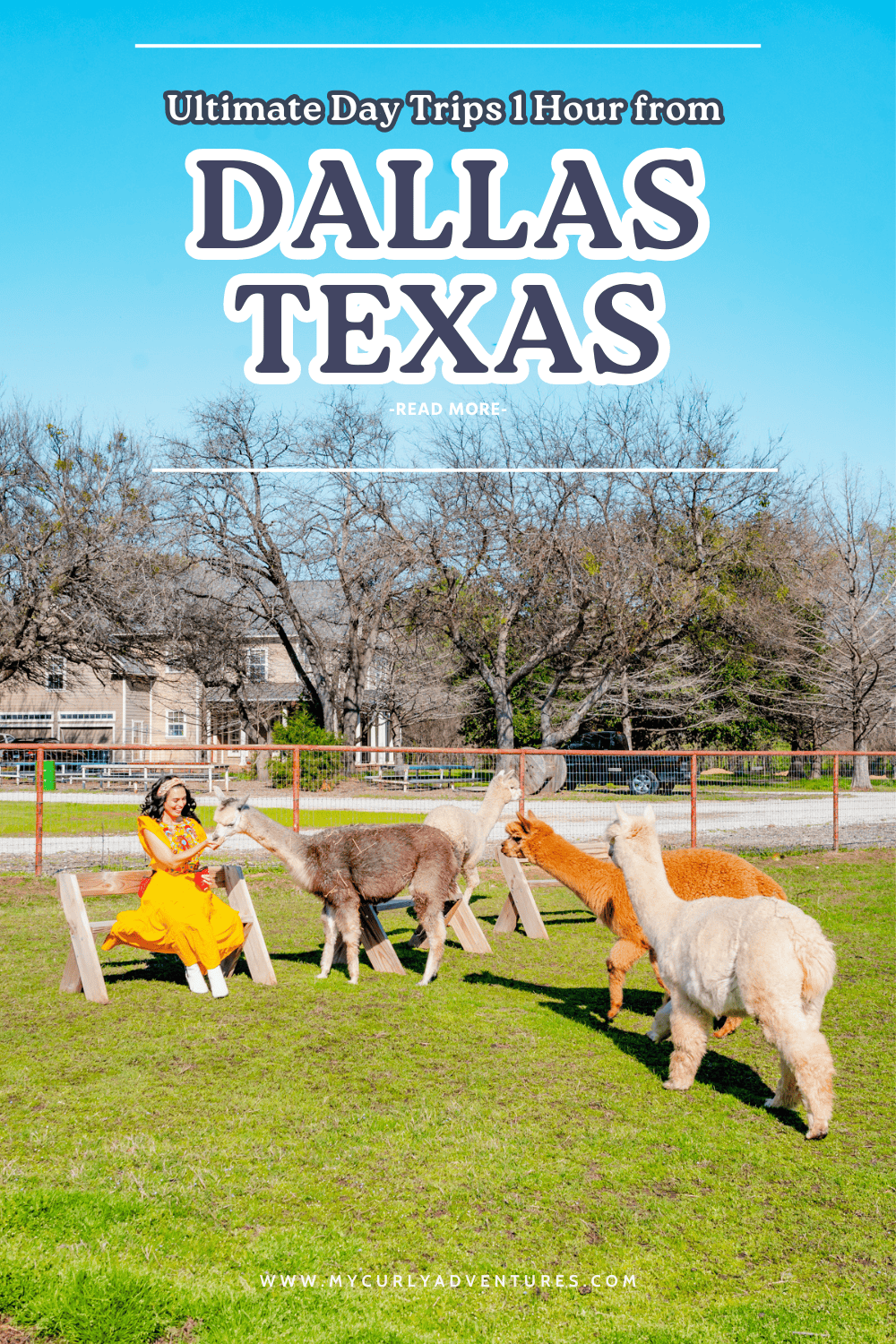 day trips 1 hour from dallas