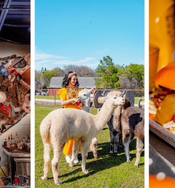 Ultimate Day Trips 1 Hour from Dallas in Texas