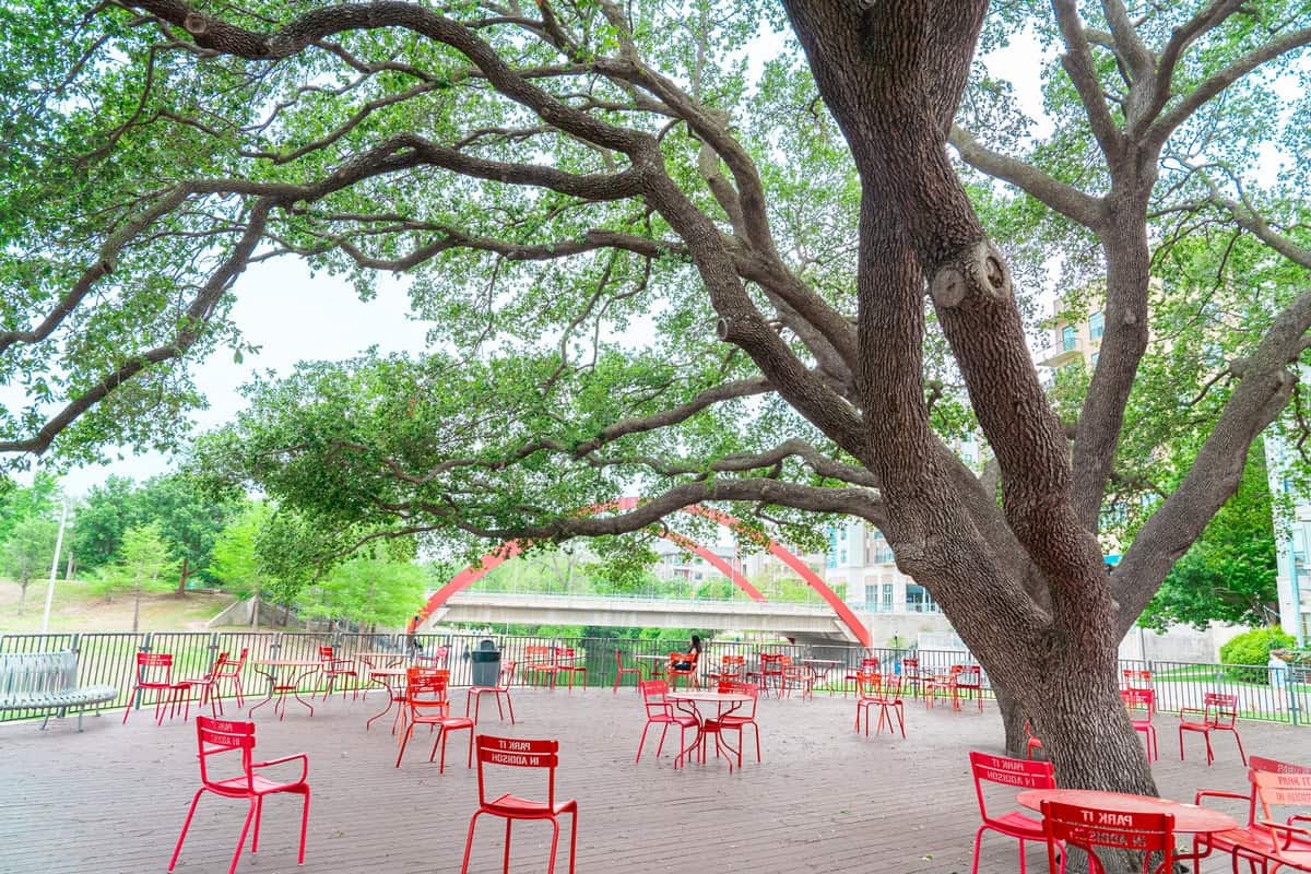 A serene outdoor space with red chairs under a sprawling tree