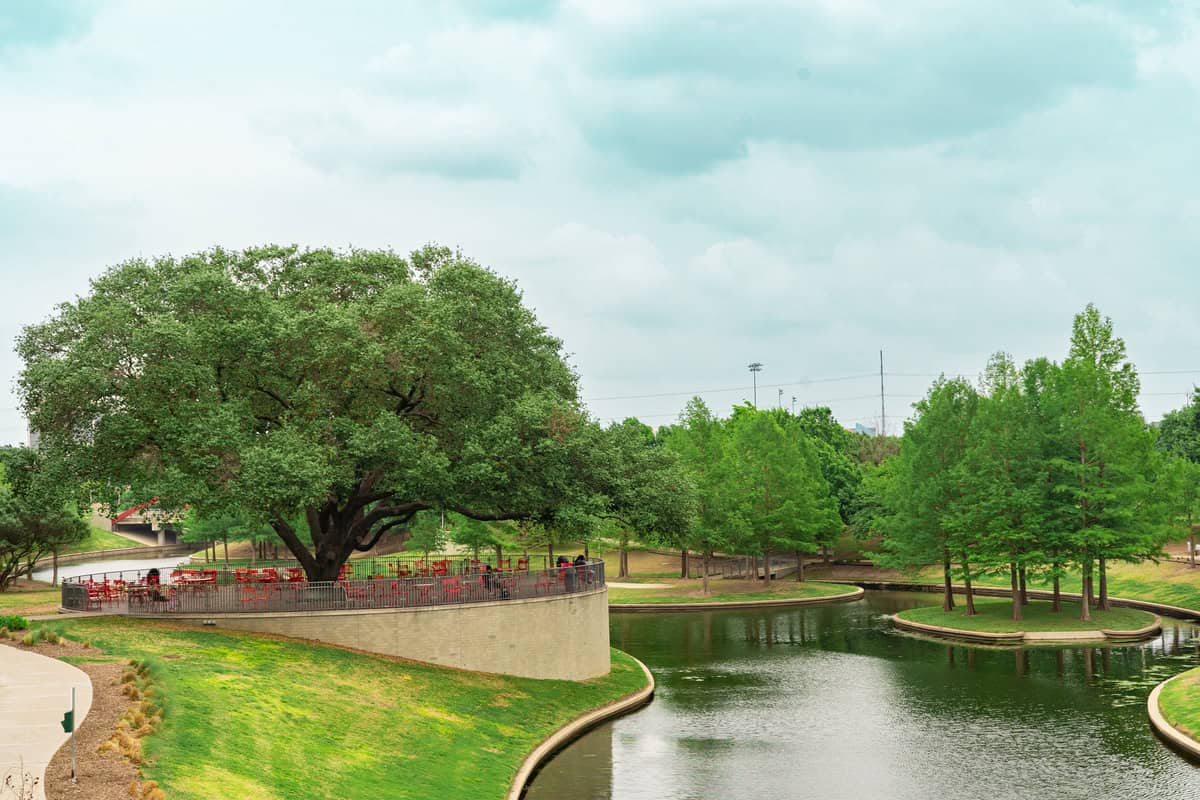 Lush green park featuring a large tree, river, and red seating area